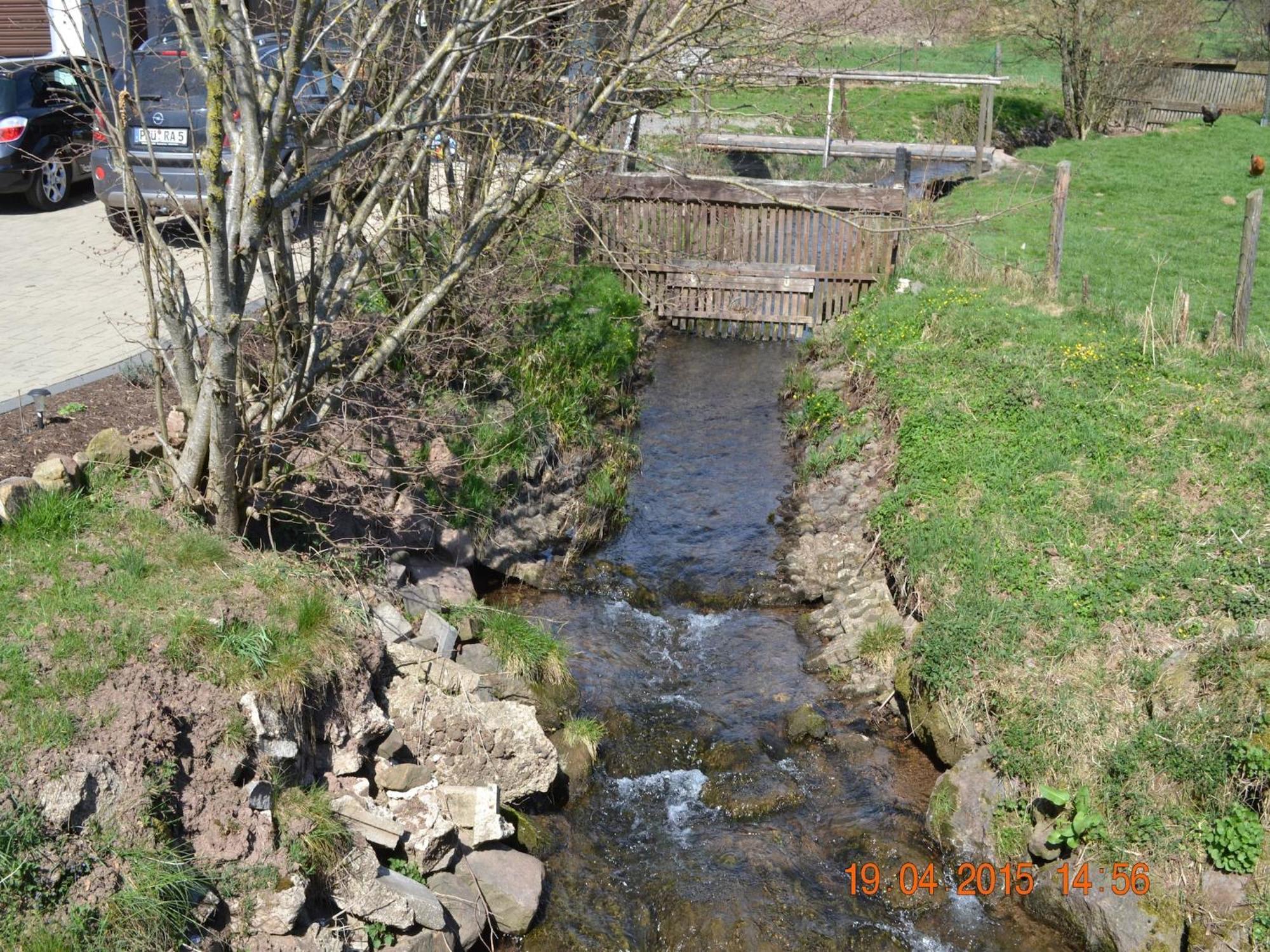 Quiet Apartment Along A Stream In Halenfeld Sellerich Exterior foto